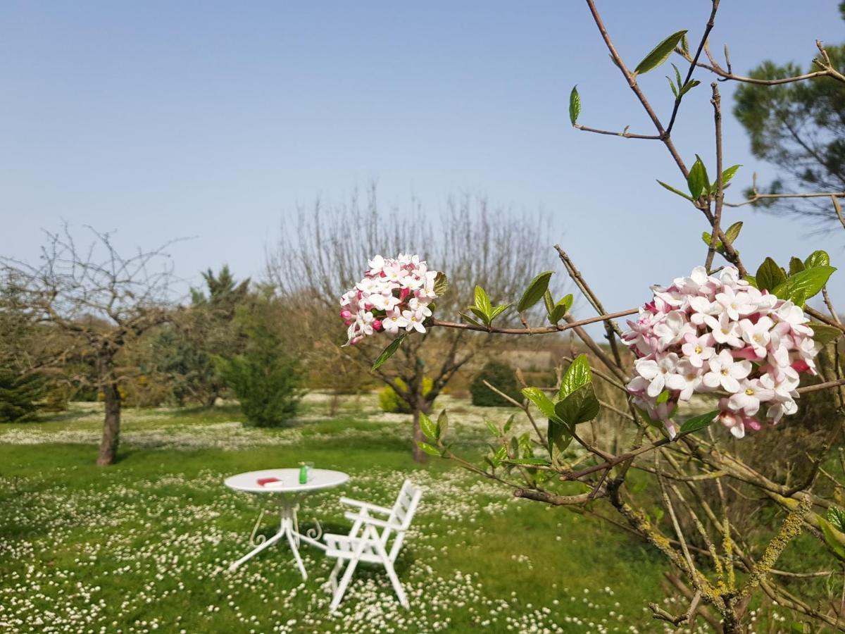 Domaine De Pelouaille - Chambre D'Hotes Saint-Jean-dʼAngély 外观 照片